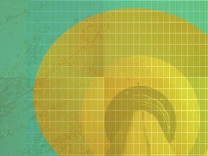 技术深度解析：原理与应用